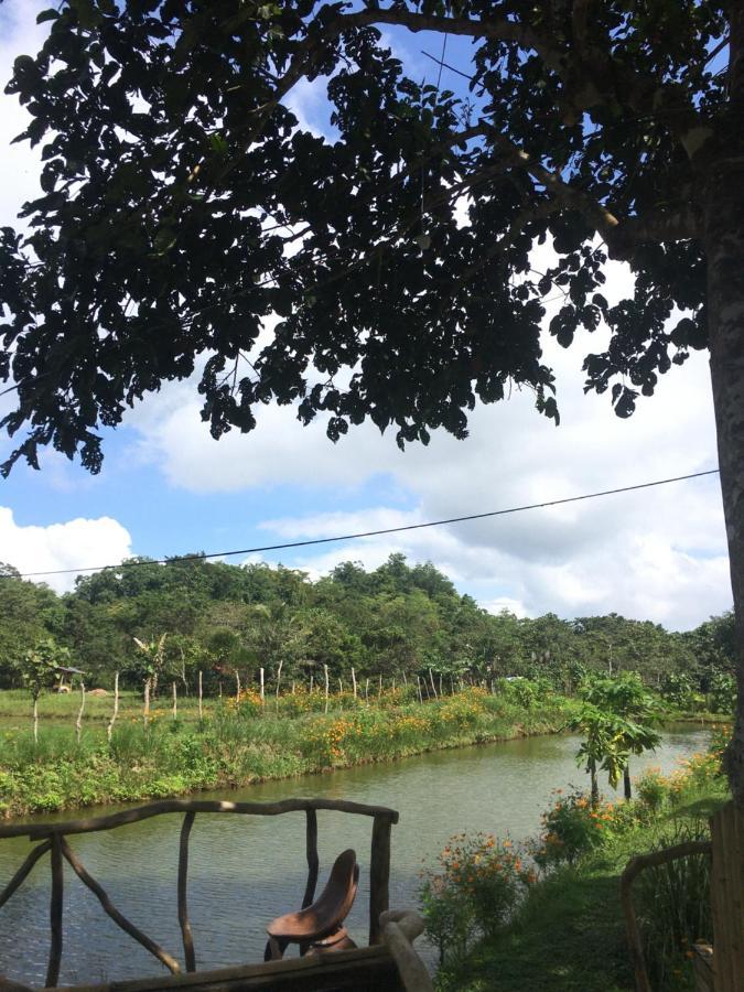 מלון Bilar Camelo Farm מראה חיצוני תמונה