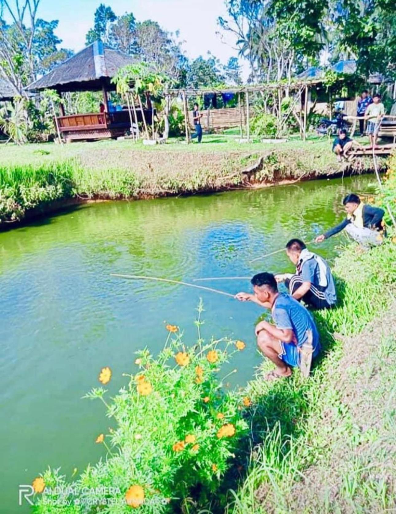 מלון Bilar Camelo Farm מראה חיצוני תמונה